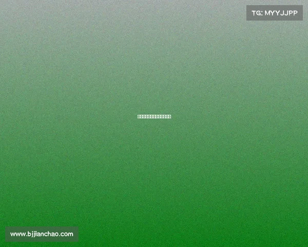 世界自由搏击比赛视频完整版